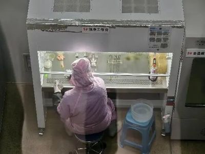 機械化助力食用菌產業(yè)化生產 為鄉(xiāng)村振興撐開“致富傘”