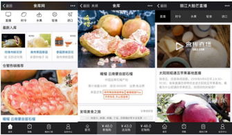 杭州四喜托管可信嗎？事實說話 食庫網(wǎng)農(nóng)產(chǎn)品基地加工與品牌營銷的領航者